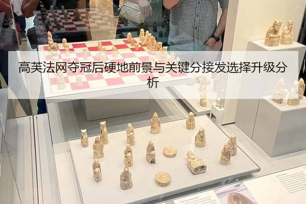 gao-fu-fa-wang-duo-guan-hou-ying-di-qian-jing-yu-guan-jian-fen-jie-fa-xuan-ze-sheng-ji-fen-xi-2-133.jpg